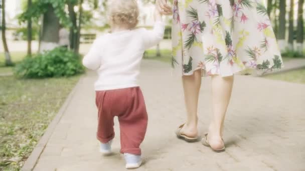 Μικρό κορίτσι περπατάει κρατώντας τις μαμάδες της χέρι στο πάρκο μια καλοκαιρινή μέρα — Αρχείο Βίντεο