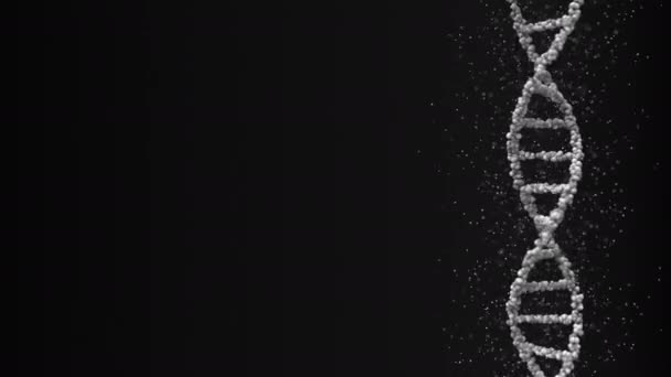 Conceptuele loop bare 3D-animatie van grijs DNA molecuulmodel — Stockvideo