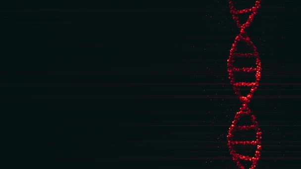Modelo de molécula de DNA vermelho em movimento, espaço em branco para conteúdo personalizado. Fundo movimento Loopable — Vídeo de Stock