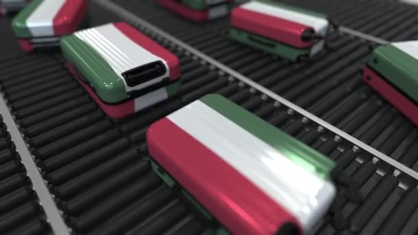 Many travel suitcases featuring flag of Hungary. Hungarian tourism conceptual animation — Stock Video