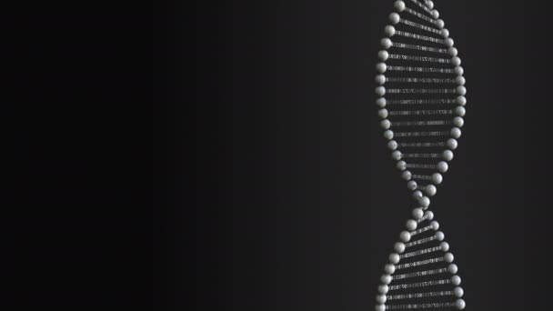 Концептуальная молекулярная модель ДНК с цифровыми последовательностями, зацикленная 3D анимация — стоковое видео