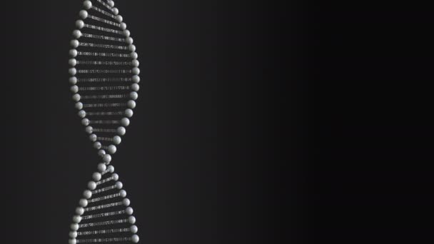 Koncepcyjny cyfrowy model molekuł DNA z liczbami, pętlują ruchu backround — Wideo stockowe