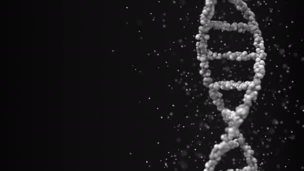 Molécula de ADN gris, asa inconsútil — Vídeo de stock