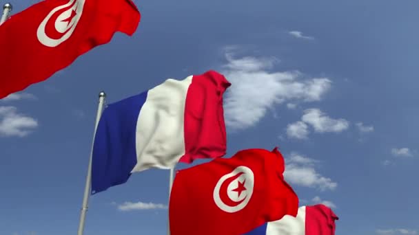 Molte bandiere di Tunisia e Francia, animazione 3D loop — Video Stock