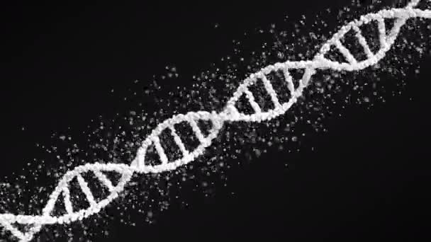 Λευκό DNA μοντέλο σφαίρα μόριο με σωματίδια, χωρίς ραφές βρόχο — Αρχείο Βίντεο