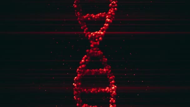 Röd DNA-molekyl modell, tomt utrymme för text eller grafik. Loopbar 3D-animering — Stockvideo