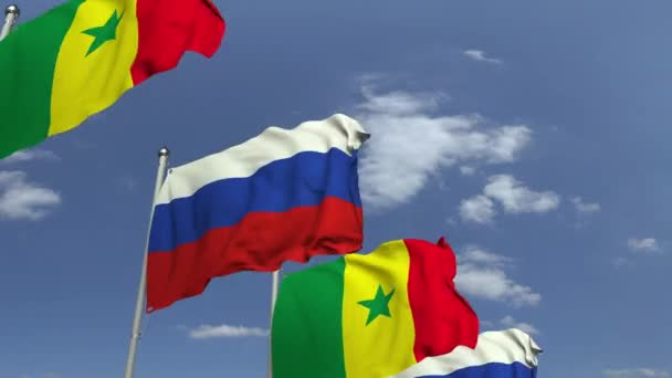 Molte bandiere del Senegal e della Russia, animazione 3D loop — Video Stock