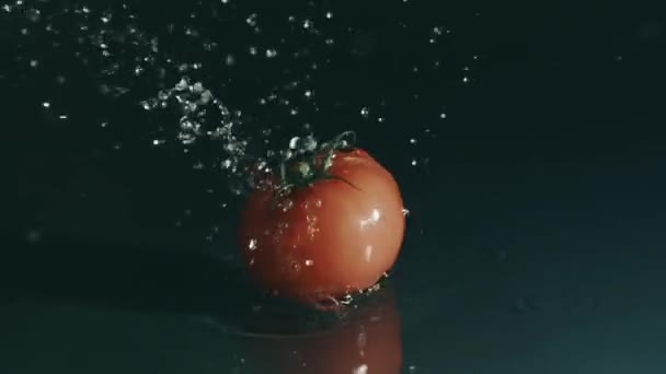 El tomate cae sobre una superficie húmeda sobre un fondo oscuro. Disparo en cámara lenta en rojo — Vídeos de Stock