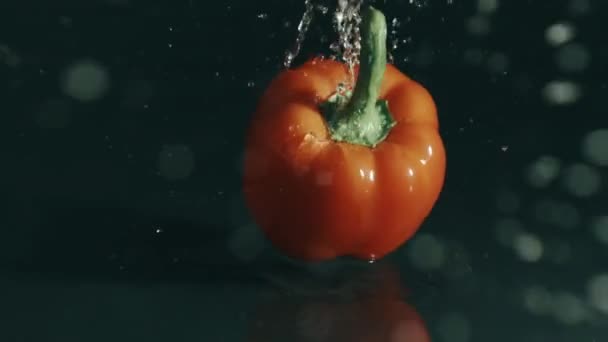 Sweet pepper falling on wet surface on dark background. Slow motion shot on Red — Stock Video