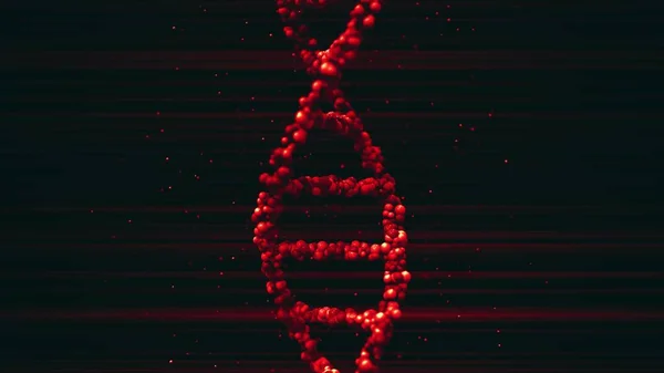 Modèle de molécule d'ADN rouge, espace vide pour le texte ou les graphiques. rendu 3D — Photo