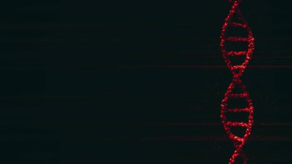 Model molekul červené DNA, prázdný prostor pro vlastní obsah. prostorové vykreslování — Stock fotografie