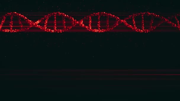 Kırmızı DNA molekül modeli ve parçacıkları, döngülü 3d animasyon — Stok video