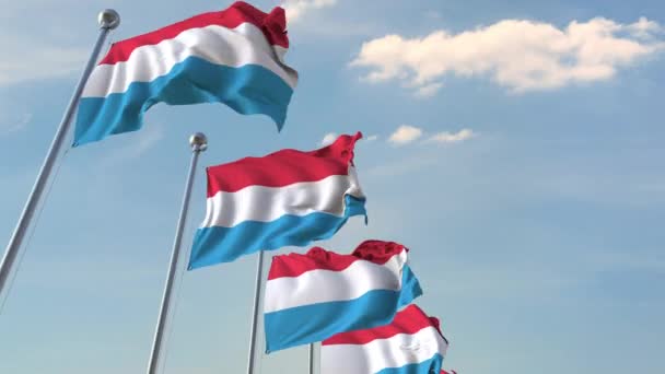 Bandeiras hasteadas do Luxemburgo. Loopable animação 3D — Vídeo de Stock
