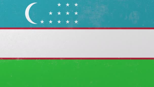 Breaking wall with painted flag of Uzbekistan. Uzbek crisis conceptual 3D animation — Stock Video