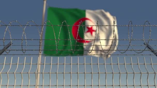 Nationalflagge Algeriens hinter Stacheldrahtzaun. konzeptionelle loopable 3D-Animation — Stockvideo