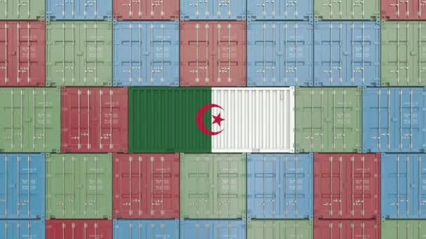 Container med Algeriets flagga. Algeriska varor relaterade konceptuella 3D animation — Stockvideo