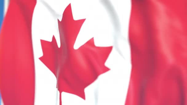 Flying national flag of Canada close-up, loopable 3D animación — Vídeo de stock