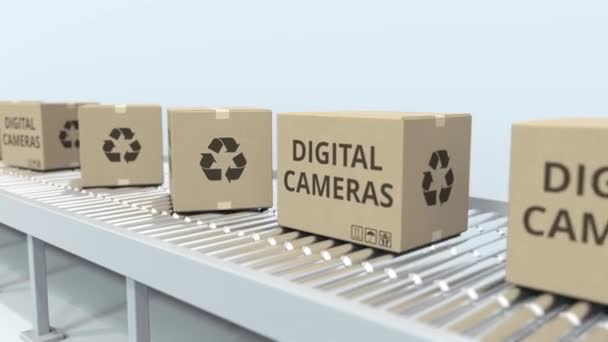 Cartoni con fotocamere digitali su trasportatore a rulli. Animazione 3D Loopable — Video Stock