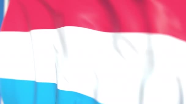 Bandiera nazionale del Lussemburgo primo piano, animazione 3D richiudibile — Video Stock