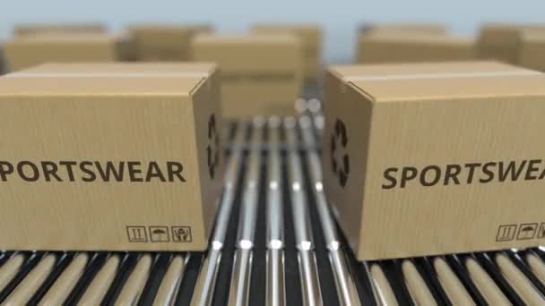 Cartons with sportswear on roller conveyors. Loopable 3D animation — Stock Video