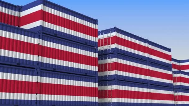集装箱码头满载着哥斯达黎加国旗的集装箱。导出或导入相关的可循环 3d 动画 — 图库视频影像