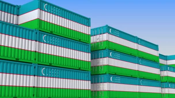 Kontejnerový dvůr plný kontejnerů s vlajkou Uzbekistánu. Uzbečtina pro export nebo import související smykliatelná 3D animace — Stock video