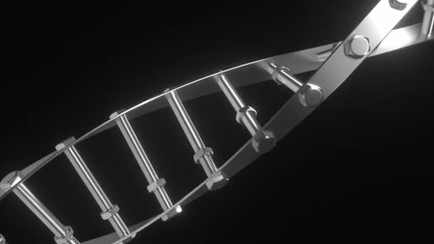 Modello di molecola di DNA composto da bulloni e dadi. loop senza soluzione di continuità — Video Stock