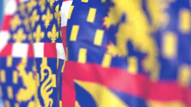 Bandera ondeante de Bourgogne-Franche-Comte, una región de Francia. Primer plano, animación en 3D loopable — Vídeo de stock