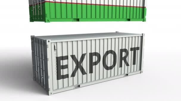 Kontener Cargo z flagą Uzbekistanu przerywa kontener z tekstem eksportu. Koncepcyjna animacja 3D — Wideo stockowe