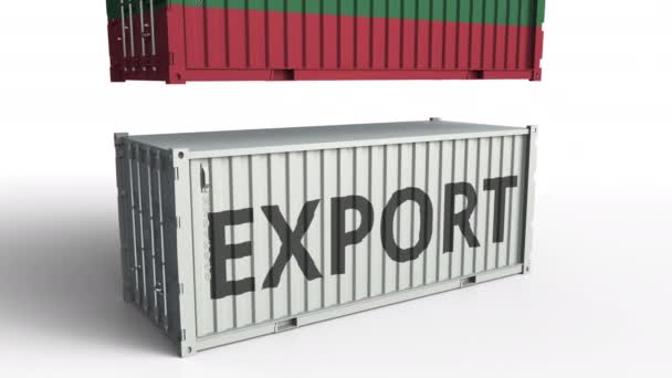 Container mit litauischer Flagge bricht Container mit Exporttext. konzeptionelle 3D-Animation — Stockvideo