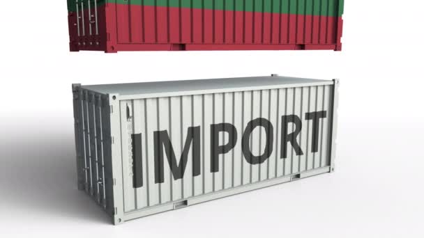 Contenitore con bandiera della Lituania rompe container con testo IMPORT. Animazione 3D concettuale — Video Stock