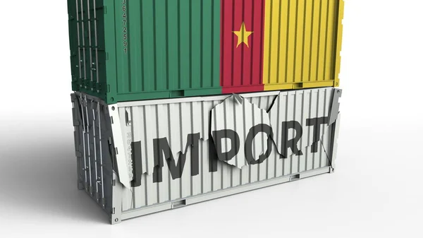 Contenitore di carico con bandiera del Camerun rompe contenitore con testo IMPORT. Rendering 3D concettuale — Foto Stock