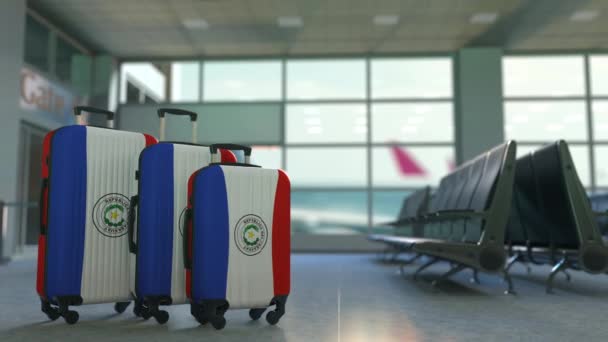 パラグアイの旗が付いている旅行のスーツケース。パラグアイ観光コンセプチュアル3Dアニメーション — ストック動画