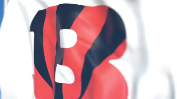 Размахиваю флагом с логотипом команды Цинциннати Бенгалс, крупным планом. Передвижная 3D-анимация — стоковое видео