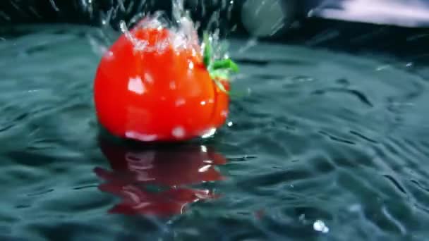 Verse rode tomaten spatten en rollen op water, Slow Motion shot — Stockvideo