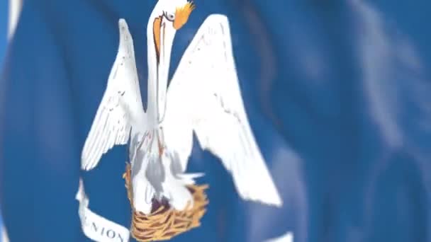 Vliegende vlag van Louisiana. Close-up, loop bare 3D-animatie — Stockvideo