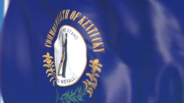 Vliegende vlag van Kentucky. Close-up, loop bare 3D-animatie — Stockvideo
