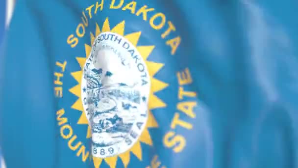 Bandera de Dakota del Sur. Primer plano, animación en 3D loopable — Vídeo de stock