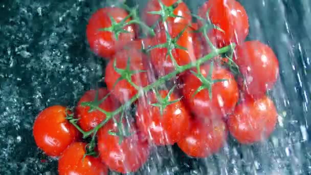 Tiro em câmera lenta de cachos de tomates cereja sendo lavados — Vídeo de Stock