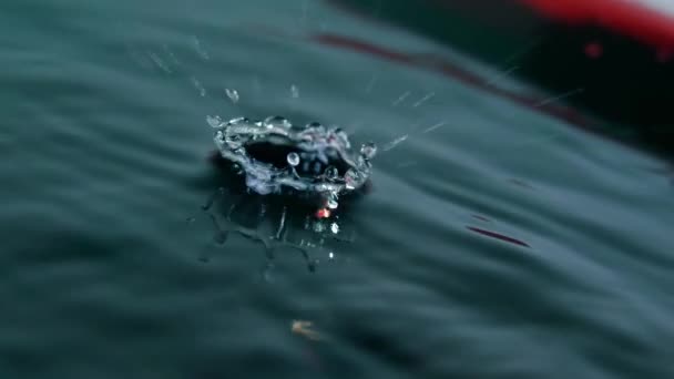 체리 토마토 무리가 물에 빠지고, 클로즈업 슬로우 모션 샷 — 비디오