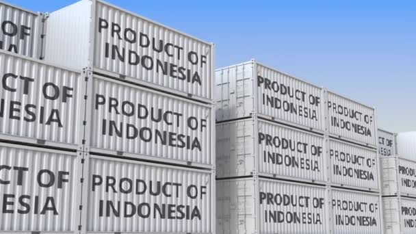 Контейнеры с текстом INDONESIA в контейнерном терминале, зацикленная 3D анимация — стоковое видео