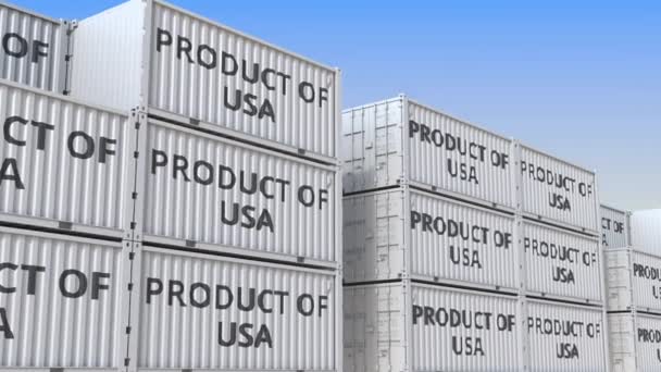 Контейнери з продуктом тексту США. Американський імпорт або експорт пов'язаної з ним 3D-анімації — стокове відео