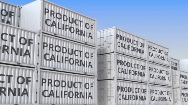 Kontenery Cargo z tekstem Product of California. Importowanie lub eksportowanie powiązanych pętli animacji 3D — Wideo stockowe