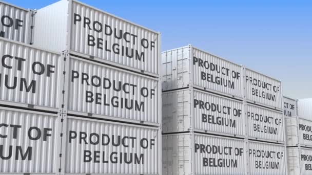 Conteneurs de fret avec le texte PRODUIT DE BELGIQUE. Importation ou exportation belge liée à l'animation 3D en boucle — Video