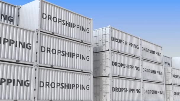 Containers met dropshipping-tekst, loop bare 3D-animatie — Stockvideo