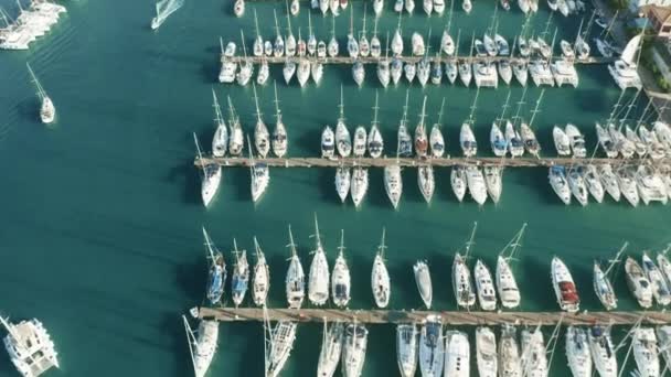 Limandaki rıhtımlı yelkenli yatların ve katamaranların havadan aşağı manzarası — Stok video