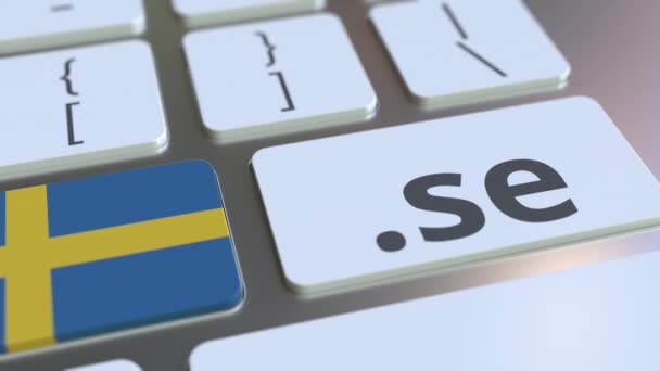 Шведский домен .se и флаг Швеции на кнопках на клавиатуре компьютера. Национальная интернет-анимация — стоковое видео