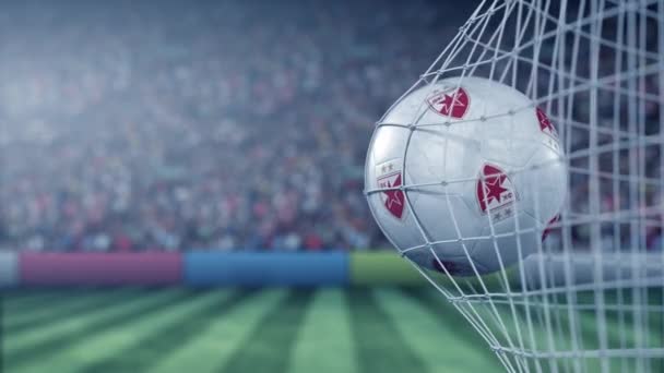 축구공에 크로 베 나 즈베즈다 (crvena zvezda) 축구 클럽 로고가 붙은 채 축구 골 네트를 맞았다. 개념적 편집 3D 애니메이션 — 비디오