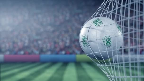 Piłka z logo klubu piłkarskiego Atletico Nacional trafia w siatkę bramkową. Konceptualna animacja 3d — Wideo stockowe