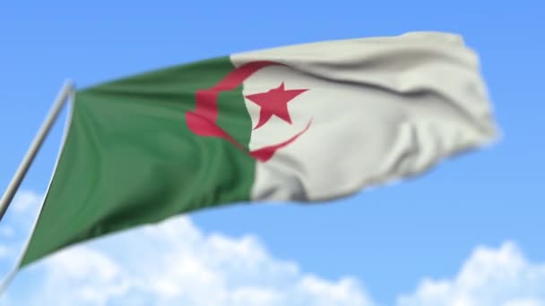 Das Schwenken der algerischen Nationalflagge, Blick aus dem niedrigen Winkel. loopable realistische 3D-Animation in Zeitlupe — Stockvideo